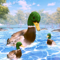 鸭子家庭生活模拟器3D V2.9.3